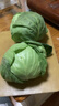 高原夏菜新鲜包菜卷心菜绿甘南菜甘蓝圆白菜时令蔬菜健康营养早餐 3斤带箱农家好菜 实拍图