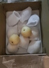 京鲜生 长城老树皇冠梨 净重5斤 单果250g+ 生鲜水果礼盒 实拍图