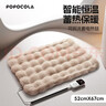 POPOCOLA宠物电热毯中号加热垫恒温保暖猫窝狗窝生病绝育可用 实拍图