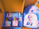 迪士尼（Disney）文具套装 儿童幼儿园书包文具礼盒文具盒学习用品开学大礼包女孩生日礼物圣诞礼物 艾莎公主 实拍图