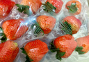 京鲜生 丹东99红颜奶油草莓 1斤装 单果22-30g 生鲜水果 实拍图
