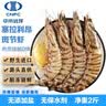 中水远洋塞拉利昂进口天然斑节虾净重2斤深海捕捞大虾对虾船冻锁鲜 30-40只/kg 实拍图