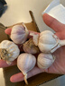 【百万单爆品】紫白皮蒜水果大蒜超市生鲜蔬菜调料即食蒜 5-6头 100g 单果3.5-5cm 实拍图