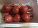 京鲜生 山东普罗旺斯番茄 净重4.5斤 单果125g+ 沙瓤西红柿 源头直发 实拍图