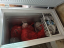 志高（CHIGO）小冰柜家用冷冻小型一级节能省电迷你卧式冷藏保鲜储母乳冷柜 【一级能效 全国联保】 248L 单温单门 实拍图