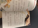 山海经+哪吒闹海+汉字的故事+十二生肖的故事+中国传统节日 彩图注音（5册）中国传统文化 小学生课外阅读经典丛书 实拍图
