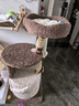 兽牌树屋猫爬架猫树猫窝一体小户型不占地豪华猫屋实木柱大猫暖冬适用 小树屋经典色 实拍图