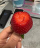 丹东草莓99红颜奶油水果礼盒生鲜 新鲜现货 源头直发 【泡沫箱】1斤装25-35g 实拍图