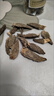 云南特产羊肚菌干货滋补牛肚菌菇煲汤食材农家香菇家用佳品 1包（每包16-17根）【当季新货 煲汤佳品】 实拍图