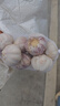 大蒜精装出口蒜出蔬菜水果调料牛肉生蚝小龙虾食材 出口标准网兜装袋5头 110g 中果直径4cm 实拍图