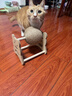 HELLOJOY逗猫咪玩具自嗨解闷猫抓板幼猫爪板小猫抓球耐抓不掉屑耐磨猫爬架 实拍图
