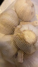 大蒜头出口品质网兜紫蒜蔬菜调料新鲜大果烧烤火锅食材 【精品网兜装】6头装 180g 实拍图