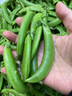 京鲜生云南新鲜甜豆 带壳食用 清香甜脆 加冰保鲜发货净重2斤源头直发 实拍图