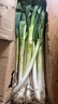鲜来拉山东大葱铁杆去皮新鲜蔬菜3斤5斤裁半叶葱现挖现发大葱 5斤装 实拍图