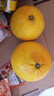 京喜加超值黄皮葡萄柚红心蜜柚柚子爆汁新鲜水果酸甜可口久雅 黄皮葡萄柚带箱2斤（2-4枚装） 实拍图