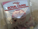 皇家宠物猫粮 幼猫猫粮K36-适用于12月龄50g*3 实拍图