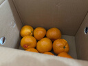 京鲜生 无核蜜桔 精选5斤装橘子/桔子  单果80g+ 生鲜水果礼盒 实拍图