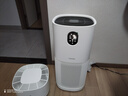 东芝（TOSHIBA）大白梨Pro空气净化器加湿器净化加湿一体机消杀甲流细菌病毒医护级去甲醛除尘除过敏源家用净化器 大白梨净化加湿杀菌除甲醛一体机 实拍图