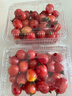 新鲜圣女果小西红柿小番茄新鲜蔬菜生鲜减肥减脂早餐沙拉现摘现发 囤货装 4斤 带箱 实拍图