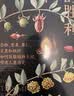 种子的胜利 谷物、坚果、果仁、豆类和核籽如何征服植物王国，塑造人类历史 索尔汉森 著 实拍图