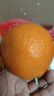 生活＆好管家 四川爱媛38号果冻橙柑橘手剥橙新鲜橙子水果应季时令桔橘子 净重3斤【尝鲜装-20%人选】 果径80-85MM【大果】 实拍图