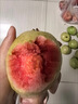 广西红心芭乐番石榴新鲜【源头直发】应当季孕妇儿童水果现摘现发 2斤优选装-单果100g+净重1.5斤 实拍图