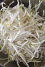 绿豆芽200g 实拍图