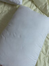 洁丽雅（Grace）纤维枕 星级酒店枕头枕芯 46*72cm 一对装（2只装） 实拍图