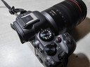 佳能（Canon）EOS R6 Mark II R6二代 新标准全画幅微单相机R62 L级24-105标准镜头套装 实拍图