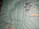 雅鹿全棉丝棉被8斤被子冬被6斤五星级酒店民宿宾馆单双人宿舍空调被芯 纳米抗菌-蓝 150*200cm 8斤冬被 实拍图