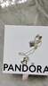 潘多拉（PANDORA）心想事成爱心吊坠项链颈饰简约精致生日礼物送女友 实拍图