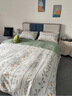 雅鹿床上四件套纯棉100%春秋全棉被罩床单家用床笠款宿舍床上用品被套 RYue-碧城春泥【100%纯棉】 1.8米 床单款 四件套-被套2*2.3m 实拍图