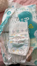 帮宝适超薄透气清新帮纸尿裤新生儿婴儿尿布湿尿片透氧Pro L46 实拍图