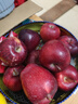 京鲜生 天水花牛苹果 净重4.5斤 单果170g+ 生鲜水果源头直发 实拍图