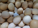 京鲜生柴鸡蛋30枚 3斤 无抗生素 谷物喂养鲜鸡蛋 源头直发 实拍图