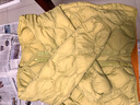 鸭鸭儿童轻薄羽绒服男女童秋冬新款学生内胆装校服神器内搭外穿KX 实拍图