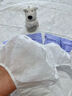 全棉时代一次性内裤女士棉纱出差旅行孕妇月子日抛不掉絮灭菌 L码1条 实拍图