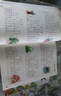 斗半匠一句话日记一句话作文一二三年级作文起步小学生作文入门周记日记看图写话满分作文范文大全同步作文书彩绘注音版【全2册】 实拍图