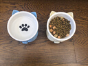 憨憨乐园猫碗陶瓷猫粮双碗斜口狗碗狗盆狗粮宠物幼猫咪吃饭食盆喝水喂食 实拍图