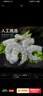 东上御品 翡翠青虾仁 鲜虾活剥虾类 去壳去虾线 虾仁生鲜 超大虾仁【31-35规格】 2斤(净重) 实拍图
