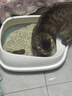 疯狂的主人猫砂盆半封闭式猫厕所防外溅猫沙盆盆猫咪猫屎带铲子 实拍图