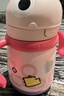 babycare儿童保温杯婴儿宝宝吸管水杯霸王龙不锈钢保温杯300ml-新旧款混发 实拍图
