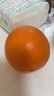 【热销】湖北秭归脐橙鲜果上市 2粒装55-60mm 实拍图