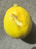 广东香水黄柠檬新鲜柠檬奶茶店专用香水黄柠檬水果产地源头直发 （带箱1斤）香水柠檬黄果单果70g起 实拍图