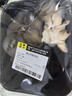 房山平菇300g 实拍图