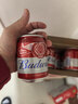 百威啤酒mini红罐淡色拉格255ml*24听小罐整箱装浓郁麦香京东自营 实拍图