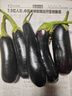 山东农家绿把紫皮长茄现摘现发新鲜嫩茄蔬菜生鲜 现摘新鲜茄子 2斤 净重 实拍图