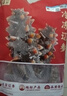 辽参大连有机冷冻海参1斤13-15只非即食辽参京东自营旗舰店 固形物85% 实拍图
