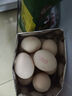 1号会员店One's Member叶黄素可生食标准鲜鸡蛋 20枚 单枚55g 源头直发 实拍图