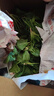 新鲜现挖菠菜河南霜打露天红根菠菜青菜涮火锅真便宜 5斤含箱 新鲜菠菜 实拍图